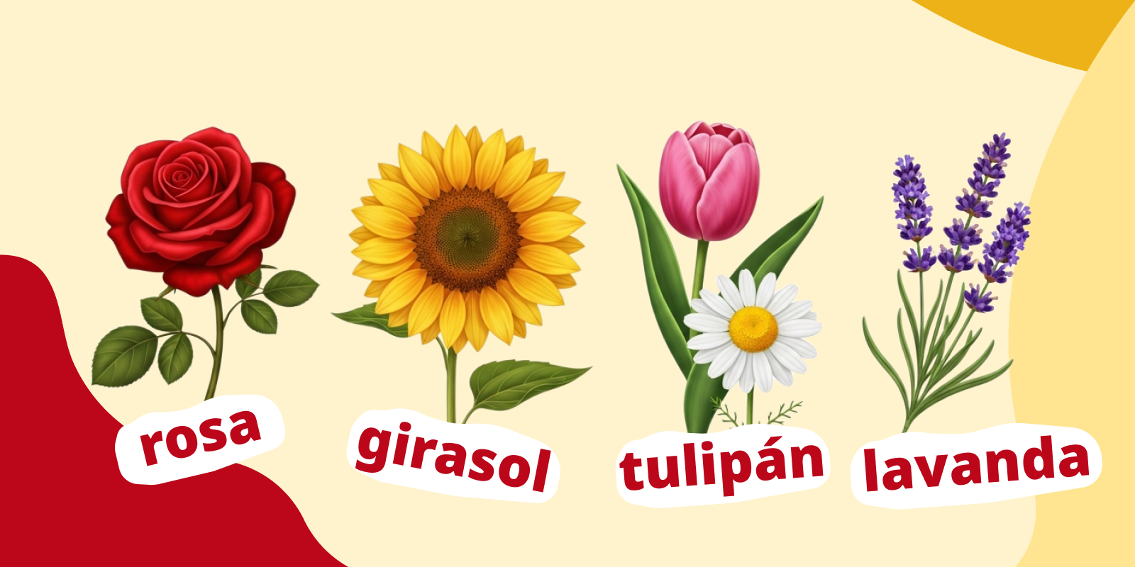 Названия цветов на испанском