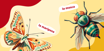 Названия насекомых на испанском