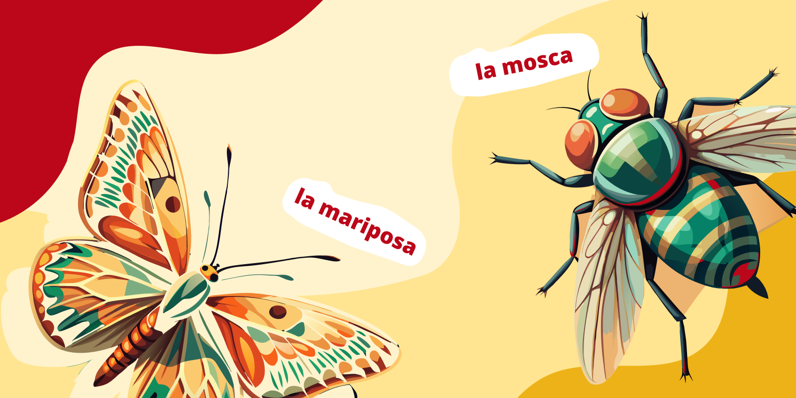 Названия насекомых на испанском