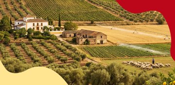 Сельское хозяйство Испании